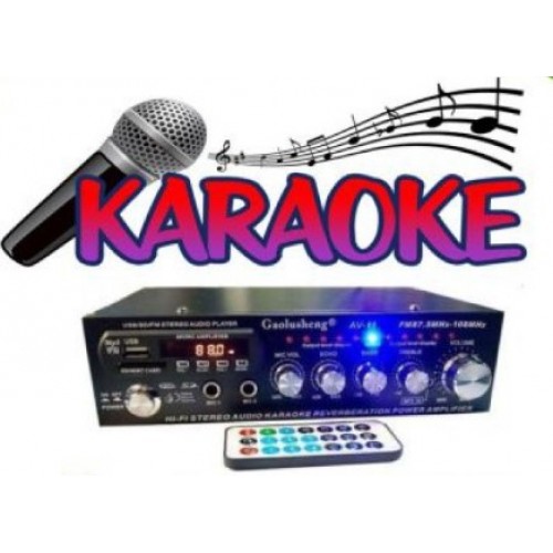 Karaoke Party Ενισχυτής 100W - 2 Μικρόφωνα