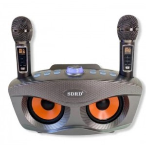 ΦΟΡΗΤΟ ΗΧΟΣΥΣΤΗΜΑ ΤΡΑΓΟΥΔΙ - ΚΑΡΑΟΚΕ ΜΕ 2 ΜΙΚΡΟΦΩΝΑ WY-SD306