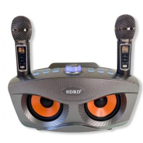 ΦΟΡΗΤΟ ΗΧΟΣΥΣΤΗΜΑ ΤΡΑΓΟΥΔΙ - ΚΑΡΑΟΚΕ ΜΕ 2 ΜΙΚΡΟΦΩΝΑ WY-SD306