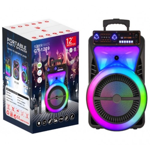 ΦΟΡΗΤΟ ΗΧΕΙΟ SUBWOOFER 12'' ΜΕ ΣΥΣΤΗΜΑ ΚΑΡΑΟΚΕ GY-1209