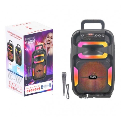 ΦΟΡΗΤΟ ΗΧΕΙΟ 8'' SUPER BASS GY-801