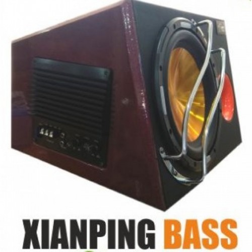 XIAPING 10' SUBWOOFER 12V/130W RMS