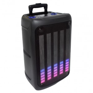 Ηχείο Bluetooth 12″ Karaoke με Διπλό μικρόφωνο LED BTS-1809 100W