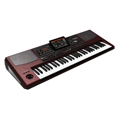 KORG PA1000 61-Key Pro Arranger With Speakers