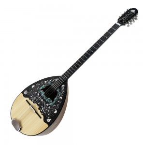 Ελληνικό Μπουζούκι Akropolis M112 8χορδο