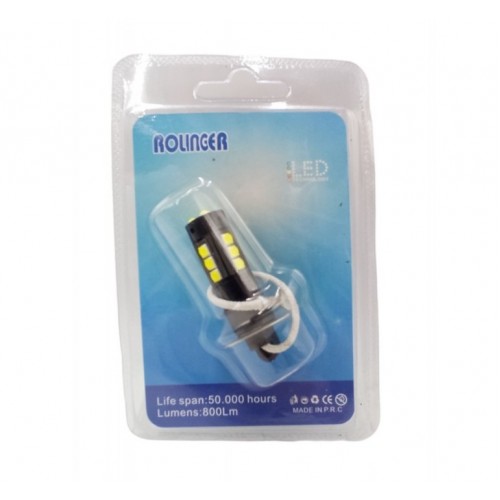 LED ΔΙΑΚΟΣΜΗΤΙΚΟΣ ΛΑΜΠΤΗΡΑΣ 12V AU-46618