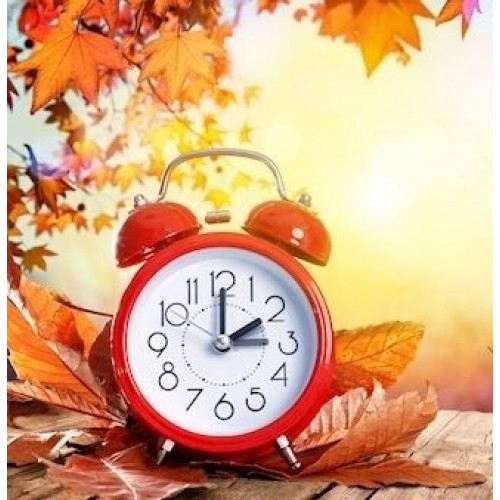 N-8819 Κλασικό Αναλογικό λευκό ρολόι Χρωματιστά Μικρό