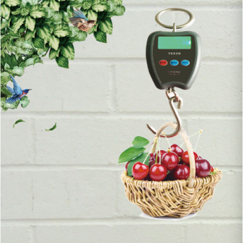 TS-320 Ψηφιακή Ηλεκτρονική Ασύρματη ζυγαριά 60kg-10g 